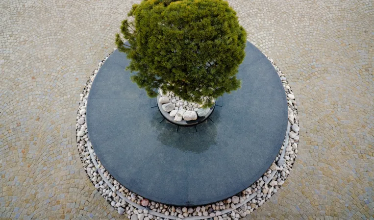 water table top view with a tree in the center