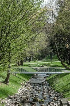 Pedestrian bridge in a park