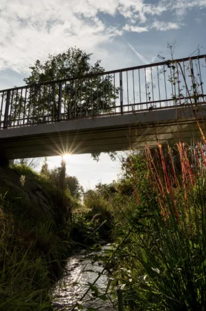 Natural stream with granite bridge