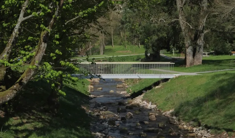 Pedestrian bridge in a park