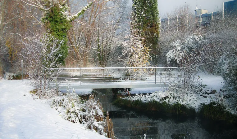 Bridge in winter with snow