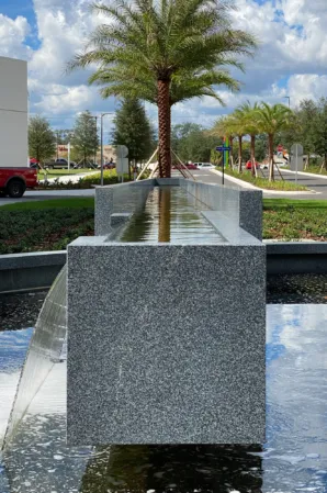 Elevated granite water channel with a palm tree in a landscaped urban plaza