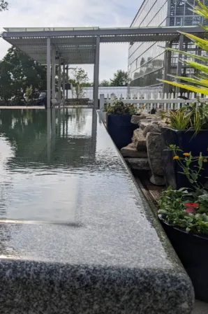 Close-up of a granite reflecting pool with an overflow edge and landscaped surroundings
